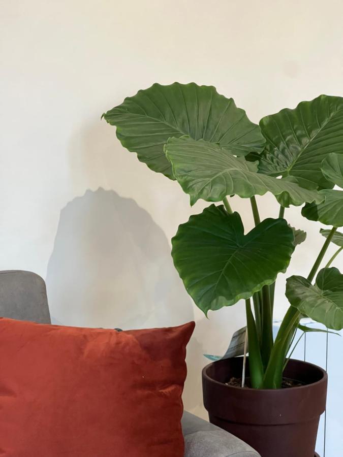 Myaka Appartement Wood Cholet Eksteriør billede